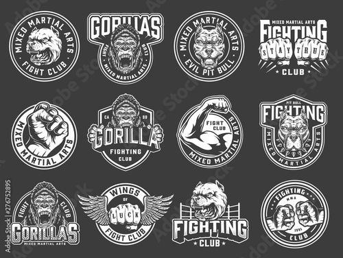 Vintage mixed martial arts club emblems