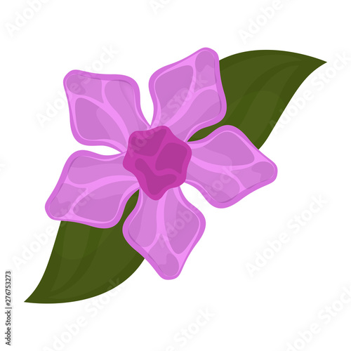 Isolated lilac flower image with leaves - Vector