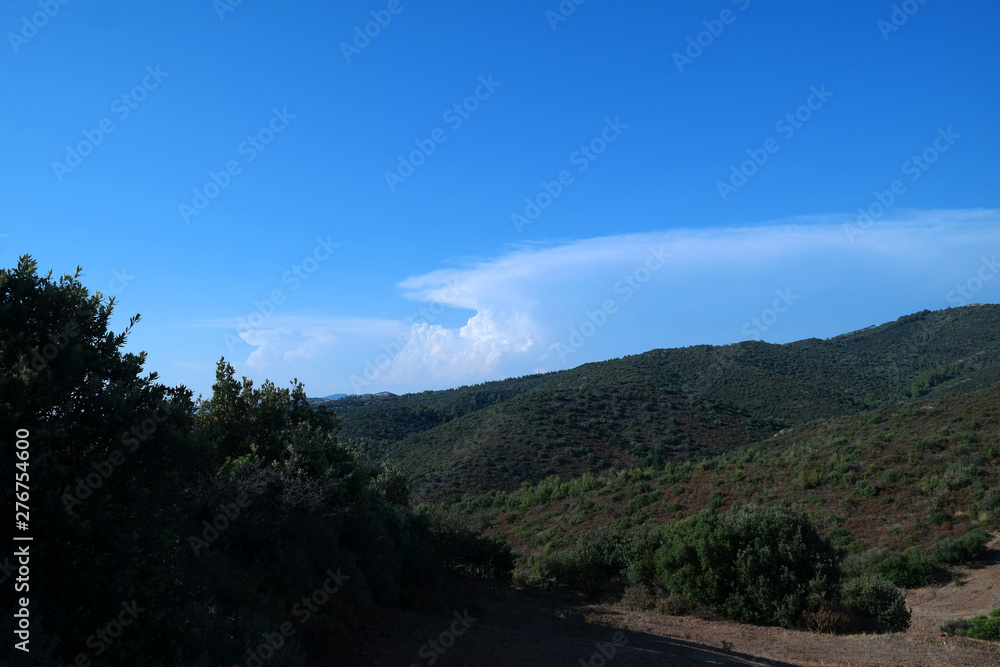 Paesaggio mediterraneo