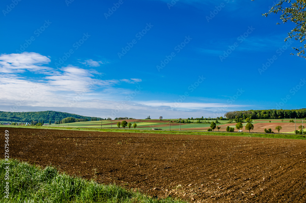 beautiful green fields in Germany