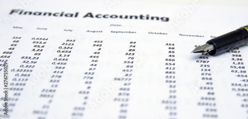 accounting  annual accounting report  financial documentation.
