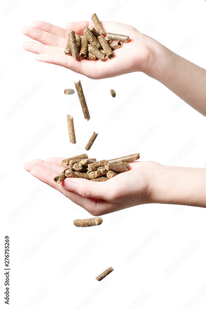 Biomass - pellet