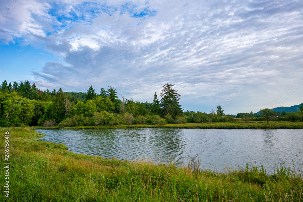 Southern End Of Puget Sound, Olympia Washington