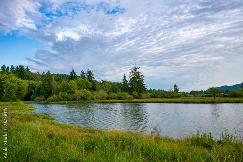 Southern End Of Puget Sound, Olympia Washington