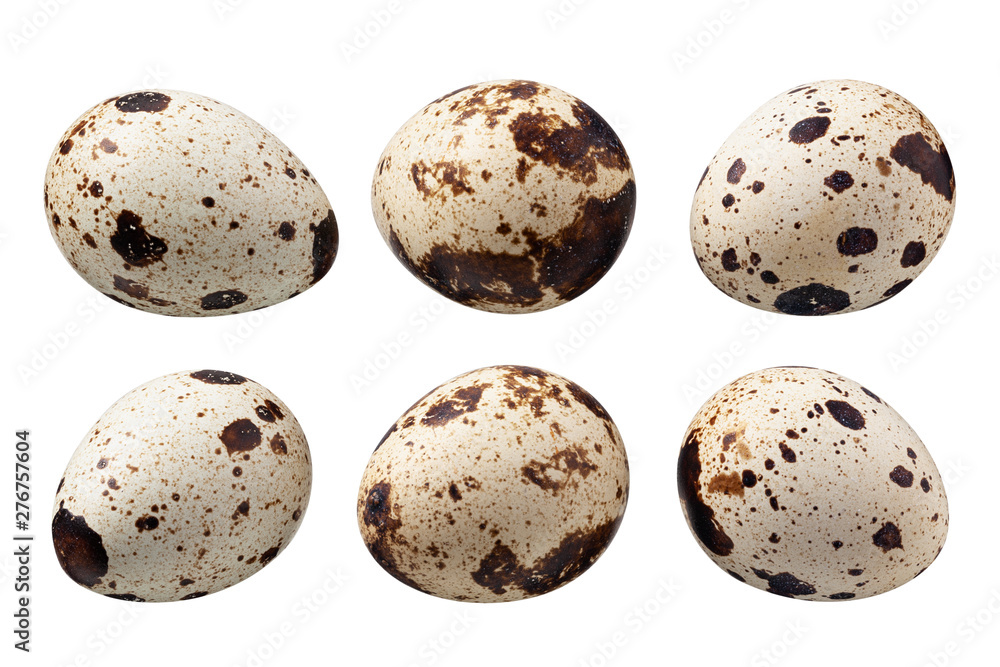 Quail eggs isolated on white. Collection Quail eggs isolated on white. Collection