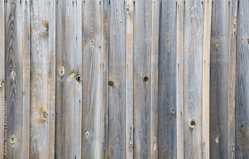 wood texture, tree, nature, background, texured wood texture, tree, nature, background, texured
