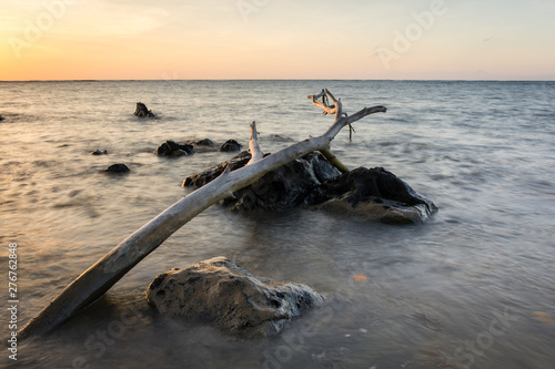 A large log with beautiful sunrise or sunset on Bama Beach, Baluran. Baluran National Park is a forest preservation area that extends about 25.000 ha on the north coast of East Java, Indonesia. photo