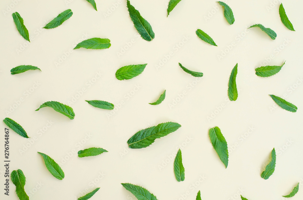 Pastel yellow background with fresh mint leaves. Pastel yellow background with fresh mint leaves.
