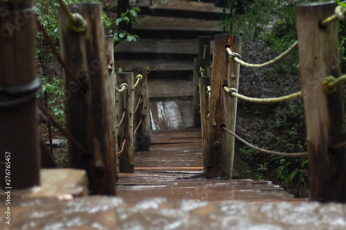 Puente sobre rio en bosque de Valle de Bravo.