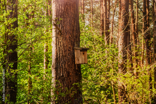 Wooden Bird House on the tree in the forest