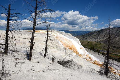 sinter terrace at mammoth hot springs in Yellowstone National Park photo