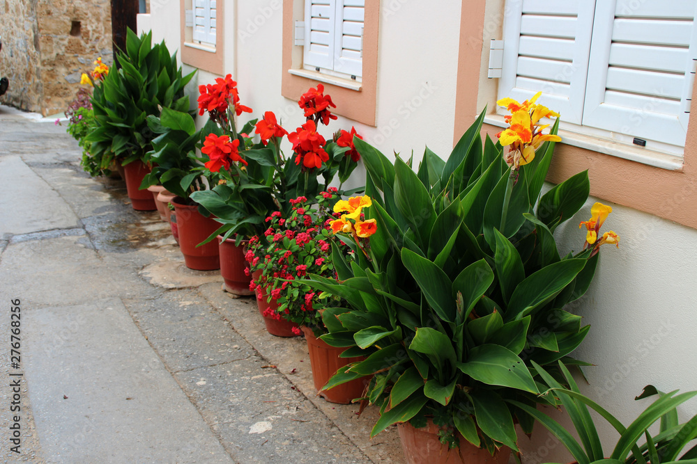 Naklejka premium Blumen vor einem Haus in Malia