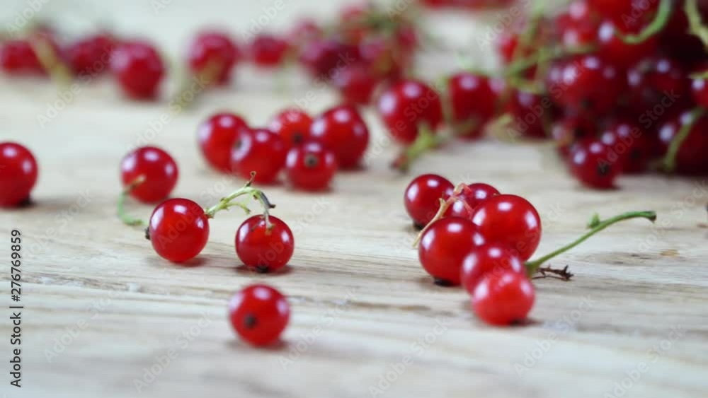 Forest red currant on table. 4K Forest red currant on table. 4K