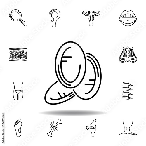 set of human organs dishes stack outline icon. Signs and symbols can be used for web, logo, mobile app, UI, UX