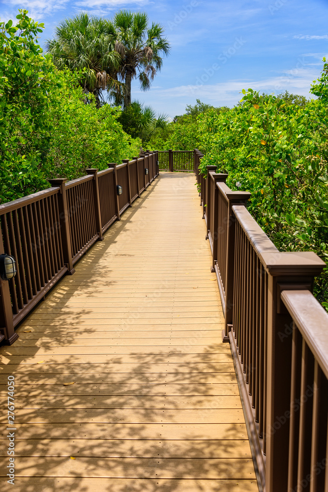Obraz premium Boardwalk with lush Vegetation in the tropics