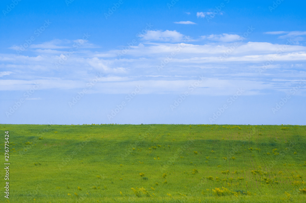 green field and blue sky with clouds