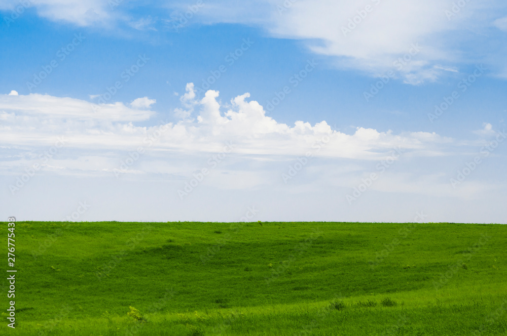 green field and blue sky with clouds