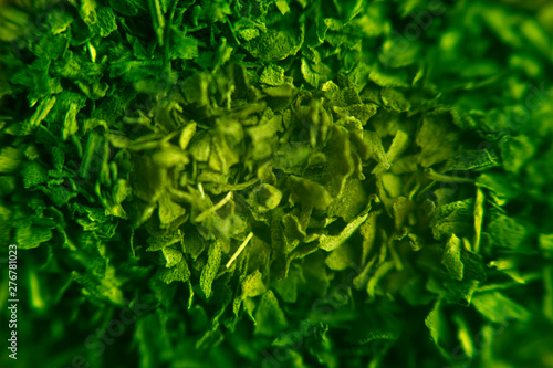 Dried natural basil spice (Ocimum basilicum) Super green. Abstract green background herbs. dried herbs, tea.