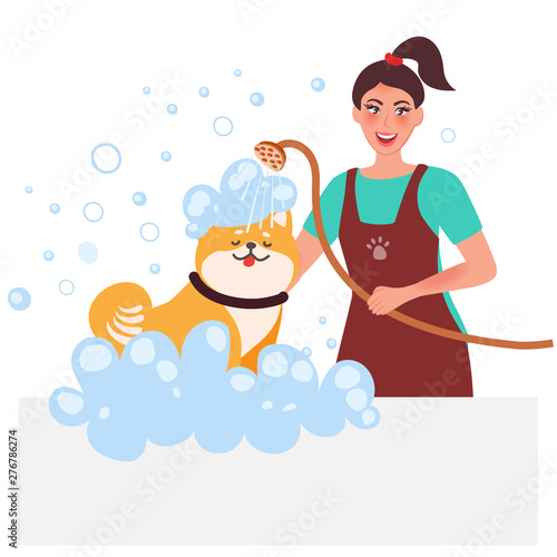 Master groomer conducts hygiene wash dogs. Professional pet care. Vector illustration