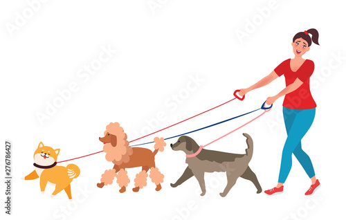 The girl walks a few dogs. Professional dog Walker. Vector illustrations unusual professions