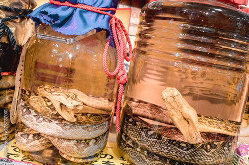 Okinawan traditional alcoholic drink with poisonous snake Habu inside