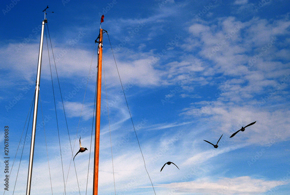Obraz premium masts and flags