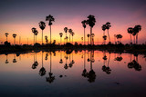 Silhouette palm tree during sunrise with reflection water