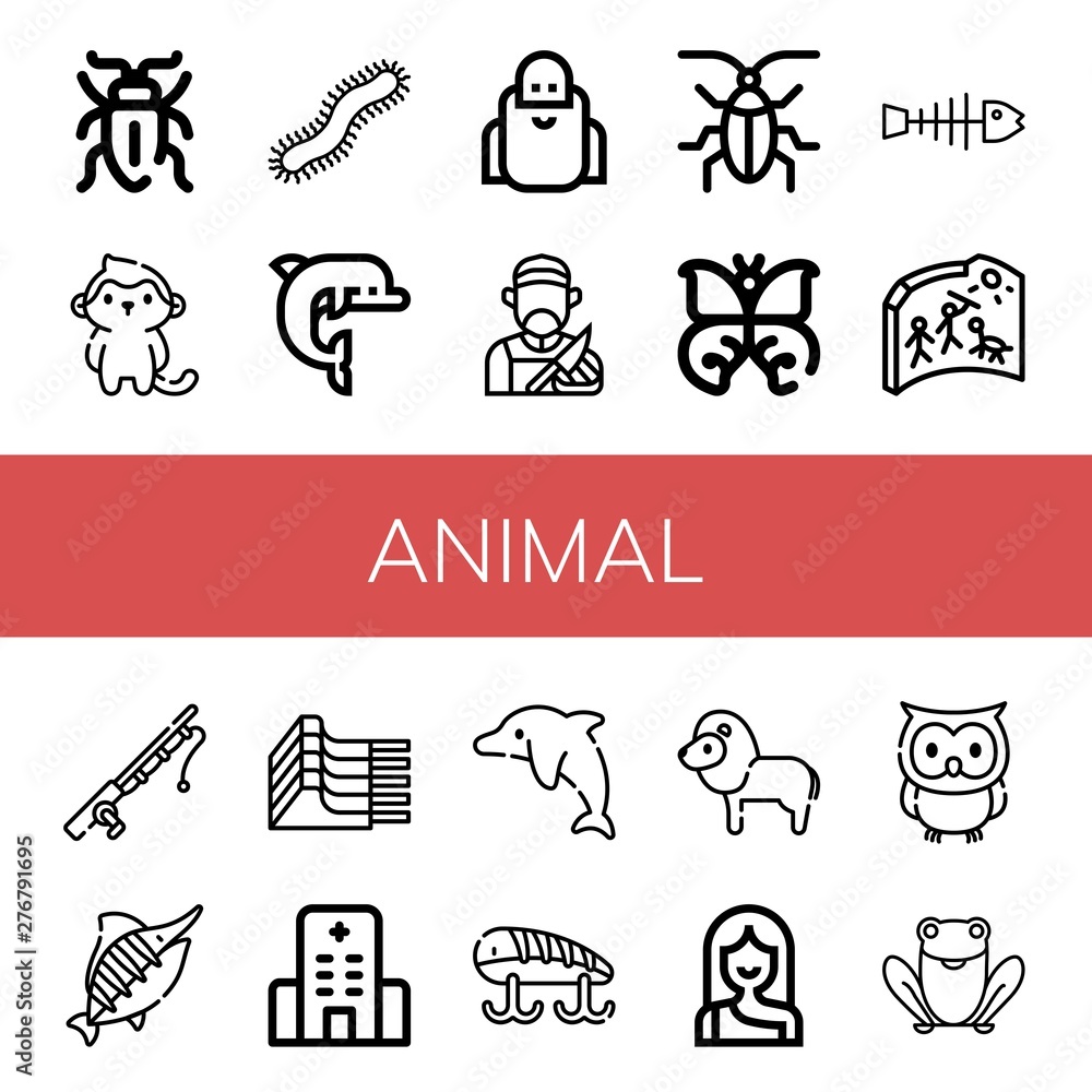 Set of animal icons such as Sap beetle, Monkey, Centipede, Dolphin ...