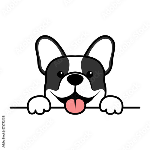 Cute french bulldog puppy paws up over wall, dog face cartoon, vector illustration