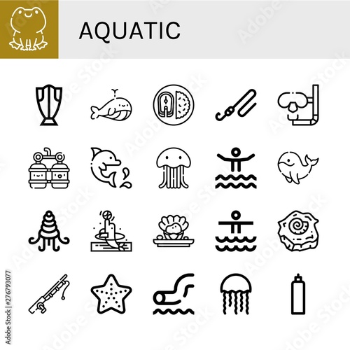 Set of aquatic icons such as Frog, Cod, Whale, Fish, Fishing rod, Dive, Oxygen, Dolphin, Jellyfish, Waterpark, Shellfish, Shell, Starfish, Oxygen tank , aquatic © Natalia