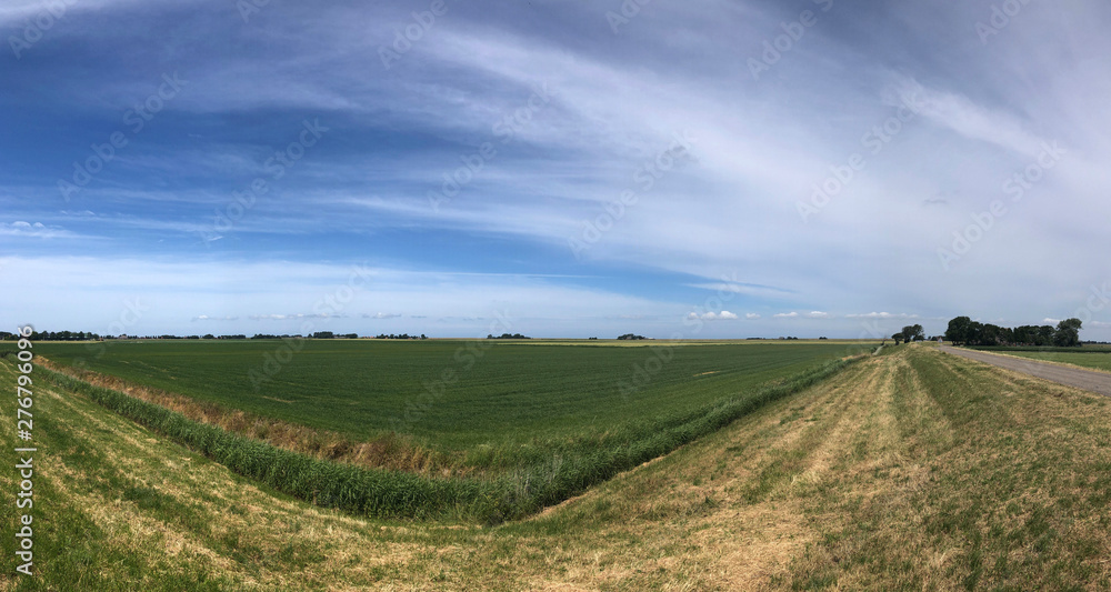 Panoramic frisian scenery