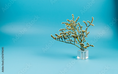 Still life of a dried flower in a glass stand