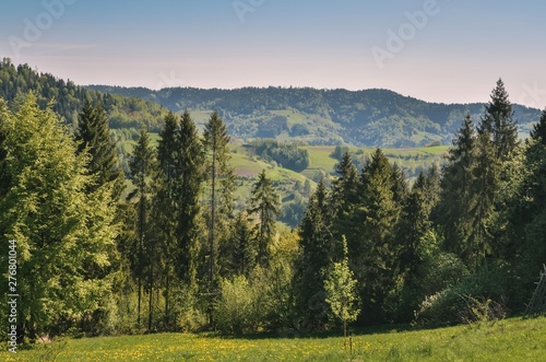 Beautiful spring mountain landscape. Charming views of the hills with green trees.