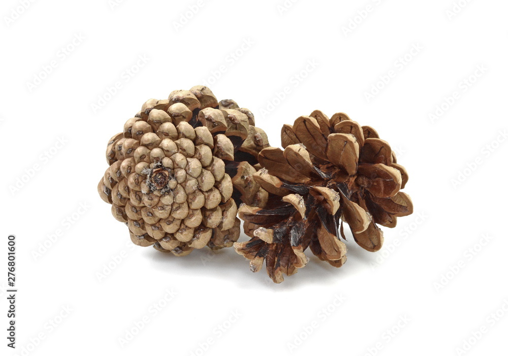 Brown pine cones isolated on white background. Brown pine cones isolated on white background.