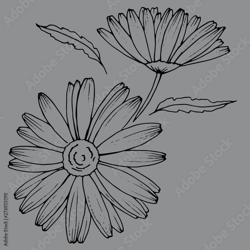 stylized chamomile flower in the graphics