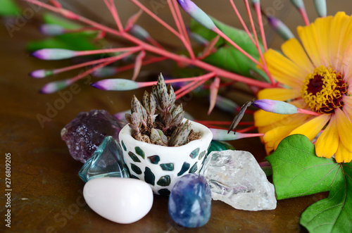 Mother of Thousands pups, baby plantlets in handmade ceramic pot. Miniature terrarium decoration with a collection of healing crystals. Aqua, Ametrine, Clear Quartz, and Fluorite. Beautiful colors photo