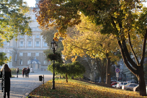 Fotografie warm rays of the sun penetrated the autumn park