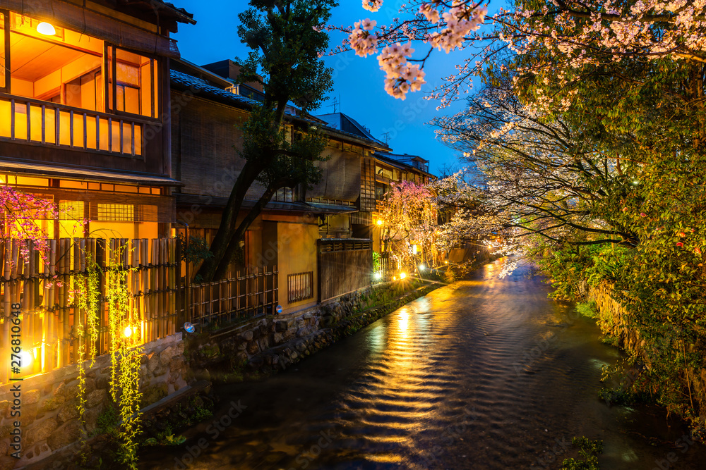 Kyoto, Japan at the Shirakawa River in the Gion District during the spring. Cherry blosson season in Kyoto, Japan.