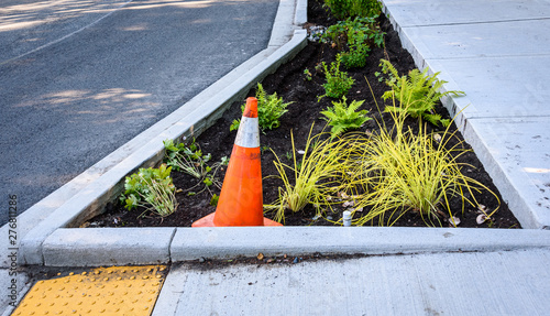 Newly planted median between the street and new sidewalk, including disabled entrance ramp, ferns, ornamental grasses, other plants, and orange safety cone