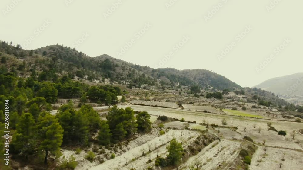 Olive tree terraces, rocky mountains and pine trees in southern Spain, low aerial ascending shot Olive tree terraces, rocky mountains and pine trees in southern Spain, low aerial ascending shot