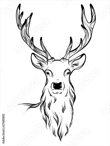 venado
