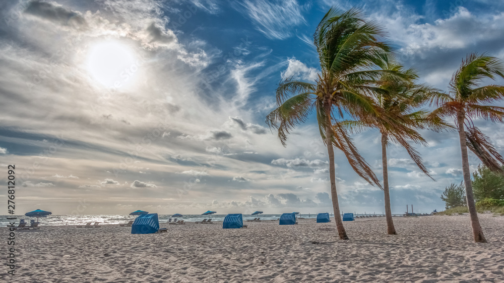 Naklejka premium Dramatic clouds and wind blows palm trees at singer island beach in Florida