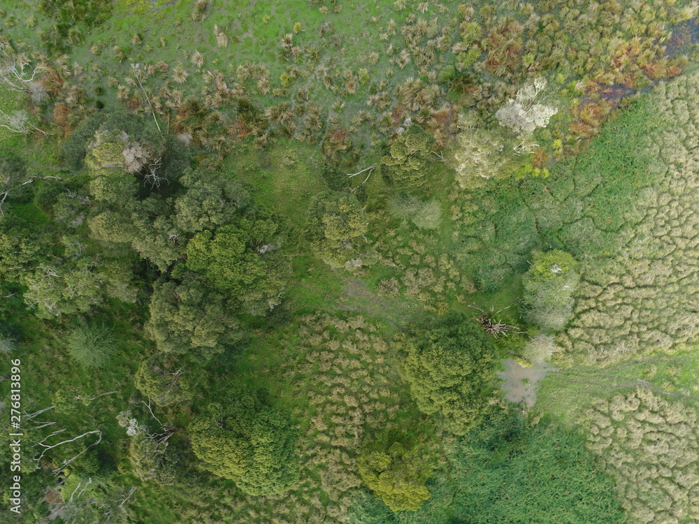 Overhead view of green landscape with grass and trees