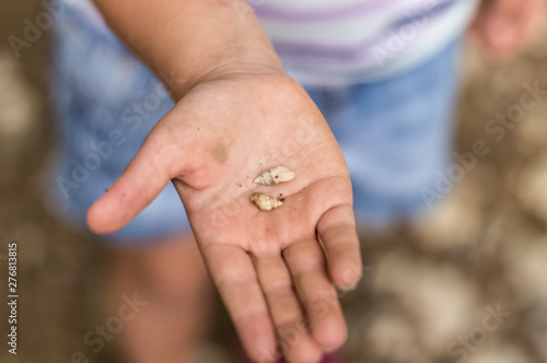 Playing at the park