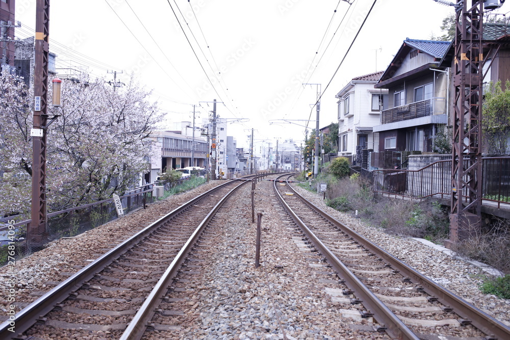 線路　桜