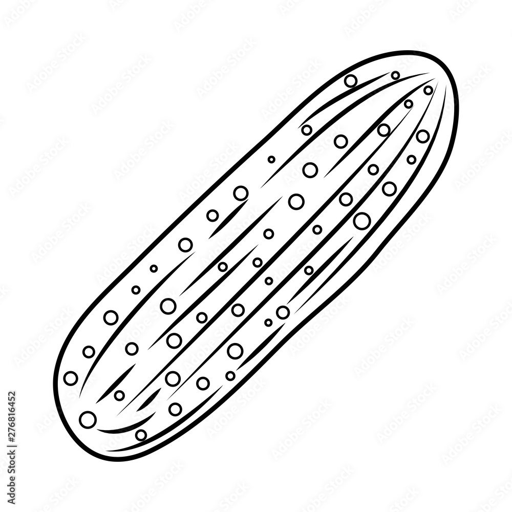cucumber fresh vegetable healthy icon cucumber fresh vegetable healthy icon