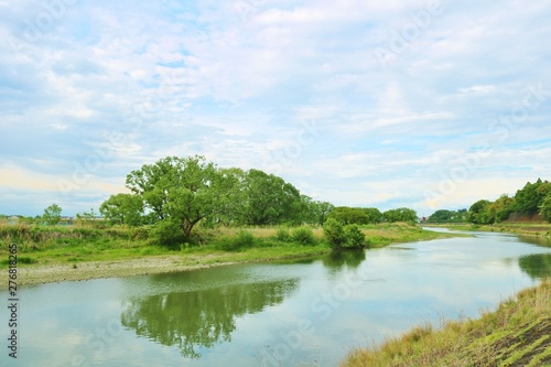 風景 春 思川 緑 杤木