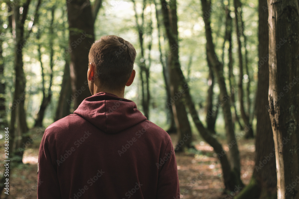 Lonely man in a forest Lonely man in a forest