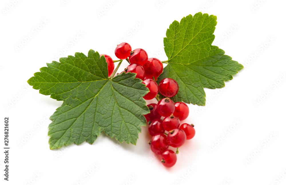 red currant with green leaves isolated on white background red currant with green leaves isolated on white background
