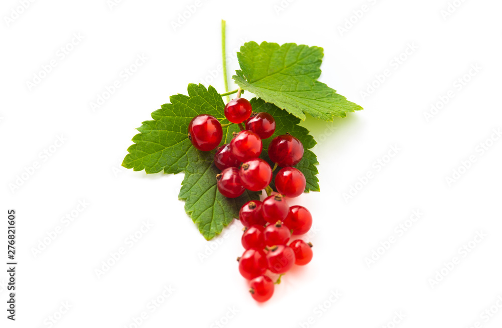 red currant with green leaves isolated on white background red currant with green leaves isolated on white background